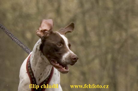 Polsko 2005 - 298a.jpg